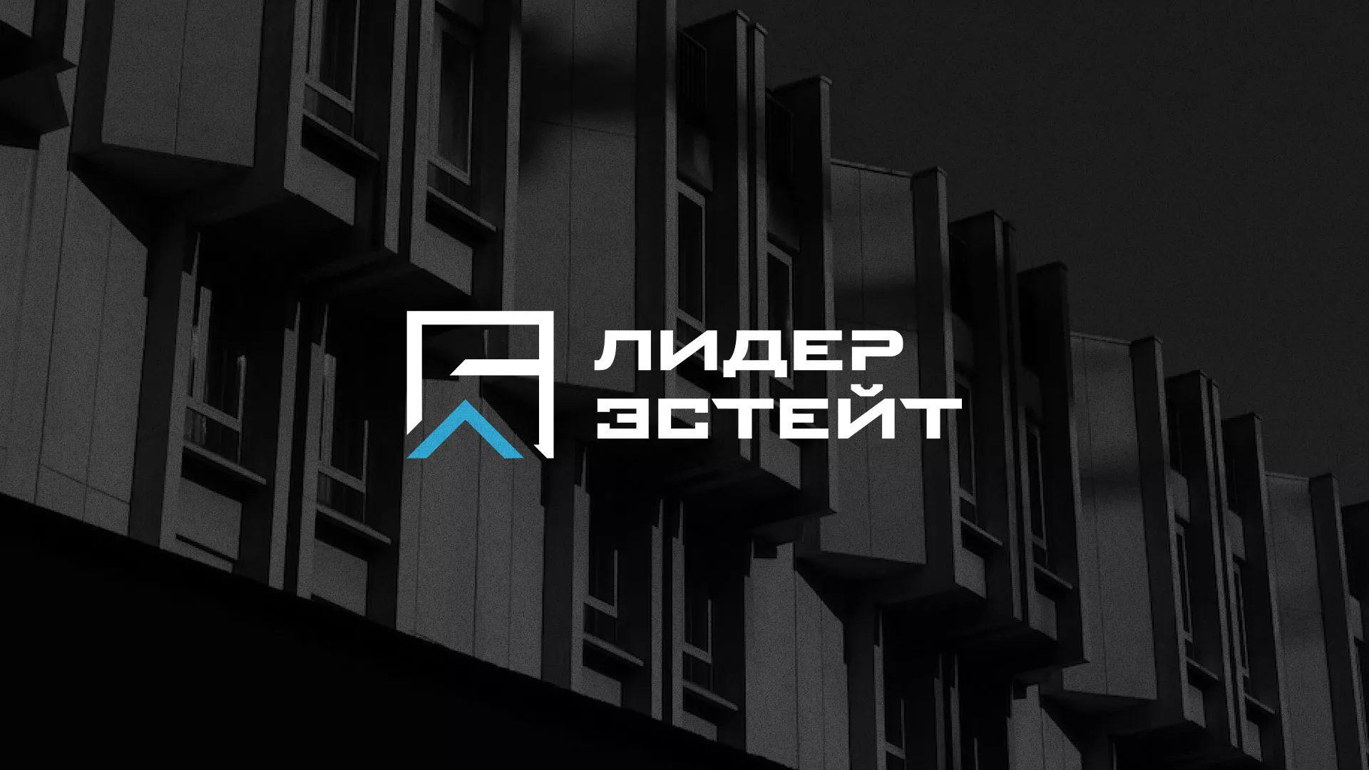 Разработка логотипа агентства недвижимости «Лидер Эстейт» в Кирсанове